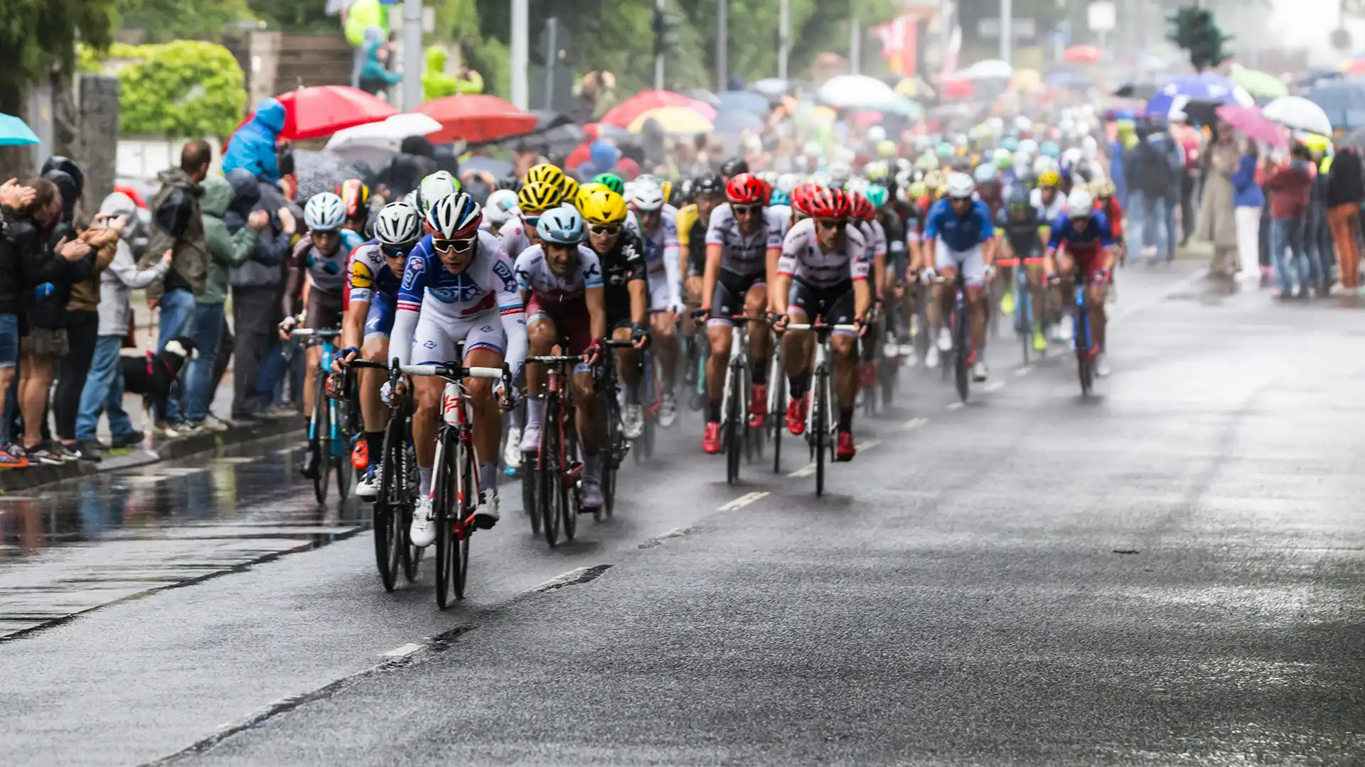 Pelotón de ciclistas eficientes compitiendo